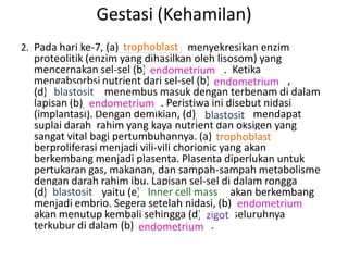 Gestasi (Kehamilan)
                       trophoblast
2. Pada hari ke-7, (a)___________ menyekresikan enzim
  proteolitik (enzim yang dihasilkan oleh lisosom) yang
  mencernakan sel-sel (b)_____________ . Ketika
                            endometrium
  mengabsorbsi nutrient dari sel-sel (b)_____________ ,
                                            endometrium
  (d)_________ menembus masuk dengan terbenam di dalam
       blastosit
  lapisan (b)_____________ . Peristiwa ini disebut nidasi
               endometrium
  (implantasi). Dengan demikian, (d)_________ mendapat
                                         blastosit
  suplai darah rahim yang kaya nutrient dan oksigen yang
  sangat vital bagi pertumbuhannya. (a)___________
                                            trophoblast
  berproliferasi menjadi vili-vili chorionic yang akan
  berkembang menjadi plasenta. Plasenta diperlukan untuk
  pertukaran gas, makanan, dan sampah-sampah metabolisme
  dengan darah rahim ibu. Lapisan sel-sel di dalam rongga
      blastosit            Inner cell mass
  (d)_________ yaitu (e)_______________ akan berkembang
  menjadi embrio. Segera setelah nidasi, (b)_____________
                                                endometrium
  akan menutup kembali sehingga (d)_____ seluruhnya
                                          zigot
  terkubur di dalam (b)____________ .
                         endometrium
 