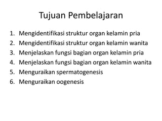 Tujuan Pembelajaran
1.   Mengidentifikasi struktur organ kelamin pria
2.   Mengidentifikasi struktur organ kelamin wanita
3.   Menjelaskan fungsi bagian organ kelamin pria
4.   Menjelaskan fungsi bagian organ kelamin wanita
5.   Menguraikan spermatogenesis
6.   Menguraikan oogenesis
 