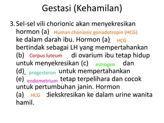 Gestasi (Kehamilan)
3. Sel-sel vili chorionic akan menyekresikan
   hormon (a)_________________________
                   Human chorionic gonadotropin (HCG)
   ke dalam darah ibu. Hormon (a)______      HCG
   bertindak sebagai LH yang mempertahankan
   (b)____________ di ovarium ibu tetap hidup
        Corpus luteum
   untuk menyekresikan (c)_________ dan
                                    estrogen
   (d)_________ untuk mempertahankan
        progesteron
   (e)_________ tetap terpelihara dan cocok
       endometrium
   untuk pertumbuhan janin. Hormon
   (a)______diekskresikan ke dalam urine wanita
         HCG
   hamil.
 