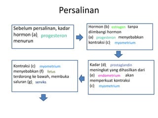 Persalinan
Sebelum persalinan, kadar     Hormon (b)________ tanpa
                                            estrogen
                              diimbangi hormon
hormon (a)__________
           progesteron        (a)___________ menyebabkan
                                  progesteron
menurun                       kontraksi (c)____________
                                              myometrium




Kontraksi (c)_____________
                myometrium    Kadar (d)_____________
                                         prostaglandin
menyebabkan (f)_______
                     fetus    meningkat yang dihasilkan dari
terdorong ke bawah, membuka   (e)_____________, akan
                                   endometrium
saluran (g)_______
             serviks          memperkuat kontraksi
                              (c)_____________
                                   myometrium
 