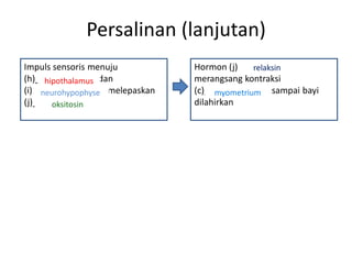 Persalinan (lanjutan)
Impuls sensoris menuju          Hormon (j)___________
                                              relaksin
(h)_____________dan
      hipothalamus              merangsang kontraksi
(i)_______________ melepaskan
     neurohypophyse             (c)____________ sampai bayi
                                     myometrium
(j)_____________
        oksitosin               dilahirkan
 