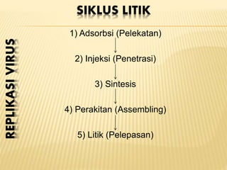 SIKLUS LITIK
1) Adsorbsi (Pelekatan)
2) Injeksi (Penetrasi)
3) Sintesis
4) Perakitan (Assembling)
5) Litik (Pelepasan)
REPLIKASIVIRUS
 