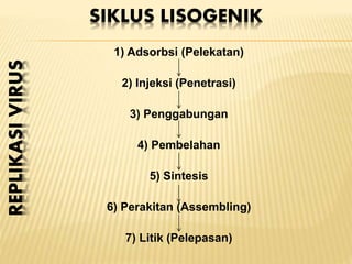 SIKLUS LISOGENIK
1) Adsorbsi (Pelekatan)
2) Injeksi (Penetrasi)
3) Penggabungan
4) Pembelahan
5) Sintesis
6) Perakitan (Assembling)
7) Litik (Pelepasan)
REPLIKASIVIRUS
 