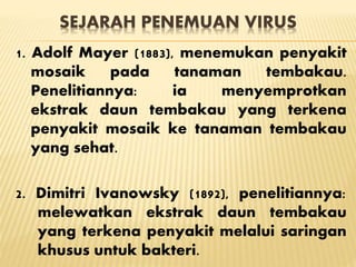 SEJARAH PENEMUAN VIRUS
1. Adolf Mayer (1883), menemukan penyakit
mosaik pada tanaman tembakau.
Penelitiannya: ia menyemprotkan
ekstrak daun tembakau yang terkena
penyakit mosaik ke tanaman tembakau
yang sehat.
2. Dimitri Ivanowsky (1892), penelitiannya:
melewatkan ekstrak daun tembakau
yang terkena penyakit melalui saringan
khusus untuk bakteri.
 