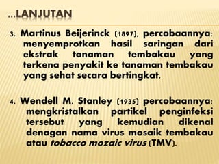…LANJUTAN
3. Martinus Beijerinck (1897), percobaannya:
menyemprotkan hasil saringan dari
ekstrak tanaman tembakau yang
terkena penyakit ke tanaman tembakau
yang sehat secara bertingkat.
4. Wendell M. Stanley (1935) percobaannya:
mengkristalkan partikel penginfeksi
tersebut yang kemudian dikenal
denagan nama virus mosaik tembakau
atau tobacco mozaic virus (TMV).
 