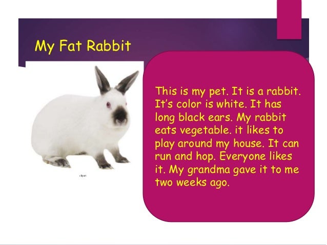 Rpp b.inggris smp vii sem 2 9. my favourite animals