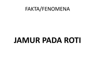 FAKTA/FENOMENA

JAMUR PADA ROTI

 