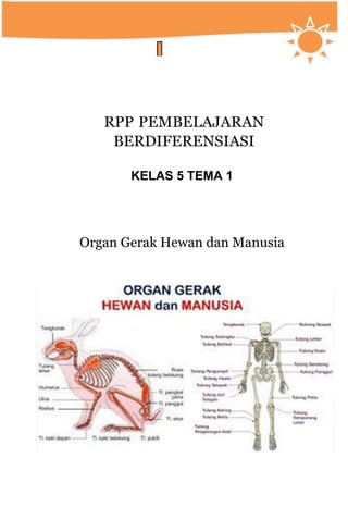 RPP PEMBELAJARAN
BERDIFERENSIASI
KELAS 5 TEMA 1
Organ Gerak Hewan dan Manusia
 