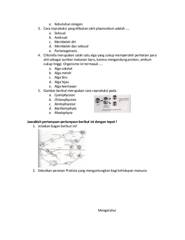 Rpp Biologi Jilid 1 2013