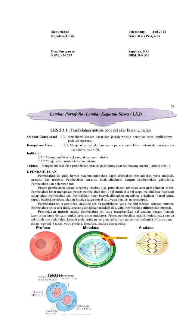 RPP Biologi Kelas XII Semester I