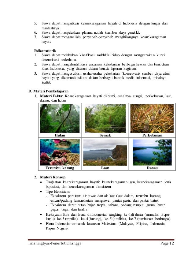Contoh Kuis Soal Biologi Power Point