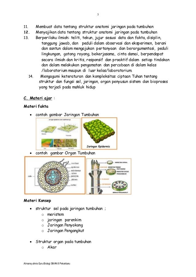 RPP Biologi KELAS XI MIA KD 3.3 ( jaringan tumbuhan) almansyahnis ,S…