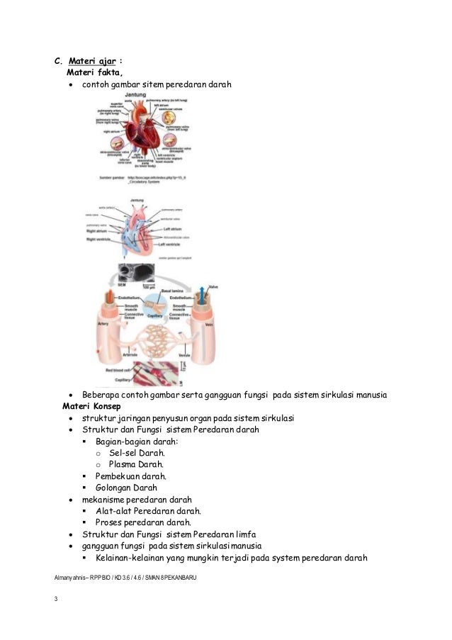 Rpp biologi xi. kd 3.6 ( sistem sirkulasi ) almansyahnis 