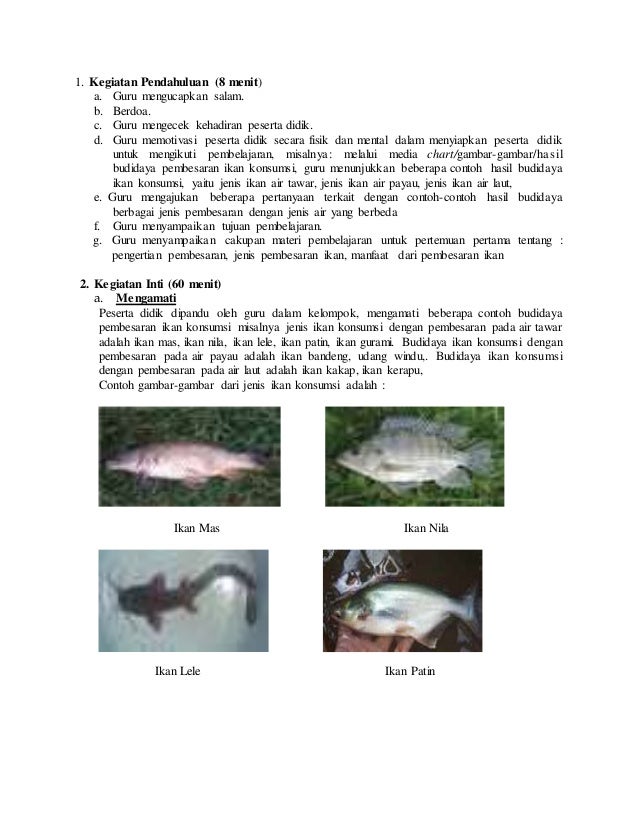 Contoh Resensi Buku Budidaya Ikan Lele - Contoh ijk