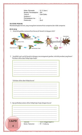 Keajaiban Perubahan: Memahami Metamorfosis pada Hewan