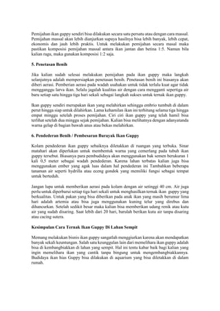 Pemijahan ikan guppy sendiri bisa dilakukan secara satu persatu atau dengan cara massal.
Pemijahan massal akan lebih dianjurkan supaya hasilnya bisa lebih banyak, lebih cepat,
ekonomis dan jauh lebih praktis. Untuk melakukan pemijahan secara masal maka
pastikan komposisi pemijahan massal antara ikan jantan dan betina 1:5. Namun bila
kalian ragu, maka gunakan komposisi 1:2 saja.
5. Penetasan Benih
Jika kalian sudah selesai melakukan pemijahan pada ikan guppy maka langkah
selanjutnya adalah mempersiapkan penetasan benih. Penetasan benih ini biasanya akan
diberi aerasi. Pemberian aerasi pada wadah usahakan untuk tidak terlalu kuat agar tidak
mengganggu larva ikan. Selalu jagalah kualitas air dengan cara mengganti sepertiga air
baru setiap satu hingga tiga hari sekali sebagai langkah sukses untuk ternak ikan guppy.
Ikan guppy sendiri merupakan ikan yang melahirkan sehingga embrio tumbuh di dalam
perut hingga siap untuk dilahirkan. Lama kehamilan ikan ini terhitung selama tiga hingga
empat minggu setelah proses pemijahan. Ciri ciri ikan guppy yang telah hamil bisa
terlihat setelah dua minggu sejak pemijahan. Kalian bisa melihatnya dengan adanyatanda
warna gelap di bagian bawah anus atau bekas melahirkan.
6. Pendederan Benih / Pembesaran Burayak Ikan Guppy
Kolam pendederan ikan guppy sebaiknya diletakkan di ruangan yang terbuka. Sinar
matahari akan diperlukan untuk membentuk warna yang cemerlang pada tubuh ikan
guppy tersebut. Biasanya para pembudidaya akan menggunakan bak semen berukuran 1
kali 0,5 meter sebagai wadah pendederan. Karena lahan terbatas kalian juga bisa
menggunakan ember yang agak luas dalam hal pendederan ini Tambahkan beberapa
tanaman air seperti hydrilla atau eceng gondok yang memiliki fungsi sebagai tempat
untuk berteduh.
Jangan lupa untuk memberikan aerasi pada kolam dengan air setinggi 40 cm. Air juga
perlu untuk diperbarui setiap tiga hari sekali untuk menghasilkan ternak ikan guppy yang
berkualitas. Untuk pakan yang bisa diberikan pada anak ikan yang masih berumur lima
hari adalah artemia atau bisa juga menggunakan kuning telur yang direbus dan
dihancurkan. Setelah sedikit besar maka kalian bisa memberikan udang renik atau kutu
air yang sudah disaring. Saat lebih dari 20 hari, barulah berikan kutu air tanpa disaring
atau cacing sutera.
Kesimpulan Cara Ternak Ikan Guppy Di Lahan Sempit
Memang melakukan bisnis ikan guppy sangatlah menggiurkan karena akan mendapatkan
banyak sekali keuntungan. Salah satu keunggulan lain dari memelihara ikan guppy adalah
bisa di kembangbiakkan di lahan yang sempit. Hal ini tentu kabar baik bagi kalian yang
ingin memelihara ikan yang cantik tanpa bingung untuk mengembangbiakkannya.
Budidaya ikan hias Guppy bisa dilakukan di aquarium yang bisa diletakkan di dalam
rumah.
 