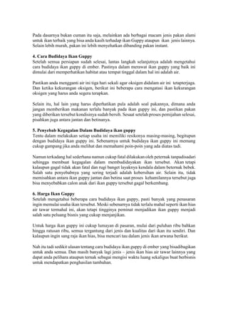 Pada dasarnya bukan cuman itu saja, melainkan ada berbagai macam jenis pakan alami
untuk ikan terbaik yang bisa anda kasih terhadap ikan Guppy ataupun ikan jenis lainnya.
Selain lebih murah, pakan ini lebih menyehatkan dibanding pakan instant.
4. Cara Budidaya Ikan Guppy
Setelah semua persiapan sudah selesai, lantas langkah selanjutnya adalah mengetahui
cara budidaya ikan guppy di ember. Pastinya dalam merawat ikan guppy yang baik ini
dimulai dari memperhatikan habitat atau tempat tinggal dalam hal ini adalah air.
Pastikan anda mengganti air ini tiga hari sekali agar oksigen didalam air ini tetapterjaga.
Dan ketika kekurangan oksigen, berikut ini beberapa cara mengatasi ikan kekurangan
oksigen yang harus anda segera terapkan.
Selain itu, hal lain yang harus diperhatikan pula adalah soal pakannya, dimana anda
jangan memberikan makanan terlalu banyak pada ikan guppy ini, dan pastikan pakan
yang diberikan tersebut kondisinya sudah bersih. Sesaat setelah proses pemijahan selesai,
pisahkan juga antara jantan dan betinanya.
5. Penyebab Kegagalan Dalam Budidaya ikan guppy
Tentu dalam melakukan setiap usaha ini memiliki resikonya masing-masing, begitupun
dengan budidaya ikan guppy ini. Sebenarnya untuk budidaya ikan guppy ini memang
cukup gampang jika anda melihat dan memahami poin-poin yang ada diatas tadi.
Namun terkadang hal sederhana namun cukup fatal dilakukan oleh peternak tanpadisadari
sehingga membuat kegagalan dalam membudidayakan ikan tersebut. Akan tetapi
kalaupun gagal tidak akan fatal dan rugi banget layaknya kendala dalam beternak bebek.
Salah satu penyebabnya yang sering terjadi adalah kebersihan air. Selain itu, tidak
memisahkan antara ikan guppy jantan dan betina saat proses kehamilannya tersebut juga
bisa menyebabkan calon anak dari ikan guppy tersebut gagal berkembang.
6. Harga Ikan Guppy
Setelah mengetahui beberapa cara budidaya ikan guppy, pasti banyak yang penasaran
ingin memulai usaha ikan tersebut. Meski sebenarnya tidak terlalu mahal seperti ikan hias
air tawar termahal ini, akan tetapi tingginya peminat menjadikan ikan guppy menjadi
salah satu peluang bisnis yang cukup menjanjikan.
Untuk harga ikan guppy ini cukup lumayan di pasaran, mulai dari puluhan ribu bahkan
hingga ratusan ribu, semua tergantung dari jenis dan kualitas dari ikan itu sendiri. Dan
kalaupun ingin sang raja ikan hias, bisa mencari tau dalam jenis ikan arwana berikut.
Nah itu tadi sedikit ulasan tentang cara budidaya ikan guppy di ember yang bisadibagikan
untuk anda semua. Dan masih banyak lagi jenis – jenis ikan hias air tawar lainnya yang
dapat anda pelihara ataupun ternak sebagai mengisi waktu luang sekaligus buat berbisnis
untuk mendapatkan penghasilan tambahan.
 