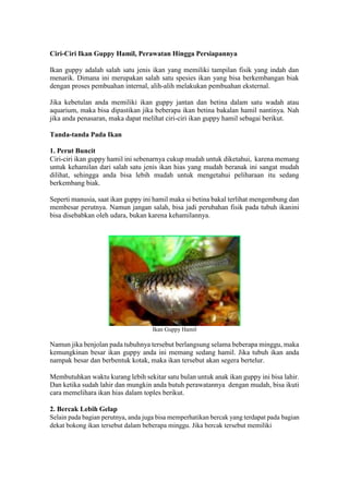 Ciri-Ciri Ikan Guppy Hamil, Perawatan Hingga Persiapannya
Ikan guppy adalah salah satu jenis ikan yang memiliki tampilan fisik yang indah dan
menarik. Dimana ini merupakan salah satu spesies ikan yang bisa berkembangan biak
dengan proses pembuahan internal, alih-alih melakukan pembuahan eksternal.
Jika kebetulan anda memiliki ikan guppy jantan dan betina dalam satu wadah atau
aquarium, maka bisa dipastikan jika beberapa ikan betina bakalan hamil nantinya. Nah
jika anda penasaran, maka dapat melihat ciri-ciri ikan guppy hamil sebagai berikut.
Tanda-tanda Pada Ikan
1. Perut Buncit
Ciri-ciri ikan guppy hamil ini sebenarnya cukup mudah untuk diketahui, karena memang
untuk kehamilan dari salah satu jenis ikan hias yang mudah beranak ini sangat mudah
dilihat, sehingga anda bisa lebih mudah untuk mengetahui peliharaan itu sedang
berkembang biak.
Seperti manusia, saat ikan guppy ini hamil maka si betina bakal terlihat mengembung dan
membesar perutnya. Namun jangan salah, bisa jadi perubahan fisik pada tubuh ikanini
bisa disebabkan oleh udara, bukan karena kehamilannya.
Ikan Guppy Hamil
Namun jika benjolan pada tubuhnya tersebut berlangsung selama beberapa minggu, maka
kemungkinan besar ikan guppy anda ini memang sedang hamil. Jika tubuh ikan anda
nampak besar dan berbentuk kotak, maka ikan tersebut akan segera bertelur.
Membutuhkan waktu kurang lebih sekitar satu bulan untuk anak ikan guppy ini bisa lahir.
Dan ketika sudah lahir dan mungkin anda butuh perawatannya dengan mudah, bisa ikuti
cara memelihara ikan hias dalam toples berikut.
2. Bercak Lebih Gelap
Selain pada bagian perutnya, anda juga bisa memperhatikan bercak yang terdapat pada bagian
dekat bokong ikan tersebut dalam beberapa minggu. Jika bercak tersebut memiliki
 