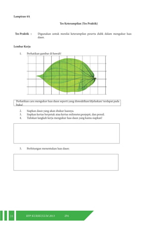 24 RPP KURIKULUM 2013 IPA 
Lampiran 4A 
Tes Keterampilan (Tes Praktik) 
Tes Praktik : Digunakan untuk menilai keterampilan peserta didik dalam mengukur luas 
daun. 
Lembar Kerja 
1. Perhatikan gambar di bawah! 
Perhatikan cara mengukur luas daun seperti yang dimodelkan/dijelaskan/ terdapat pada 
buku! 
2. Siapkan daun yang akan diukur luasnya. 
3. Siapkan kertas berpetak atau kertas milimeter,penjepit, dan pensil. 
4. Tuliskan langkah kerja mengukur luas daun yang kamu siapkan! 
5. Perhitungan menentukan luas daun: 
 