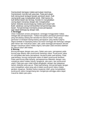 Cacing tanah bernapas melalui permukaan tubuhnya. 
Cacing tanah memiliki kulit yang tipis. Pada permukaan 
kulit cacing tanah terdapat banyak pembuluh darah. Kulit 
cacing tanah juga menghasilkan lendir. Oleh karena itu, 
kulit terlihat basah dan lembap. Kondisi ini menyebabkan 
cacing dapat menyerap oksigen dan mengeluarkan 
karbon dioksida secara langsung melalui permukaan kulit. 
Itulah sebabnya cacing membutuhkan tempat lembap atau 
basah. Tempat lembap membantu proses pernapasan 
agar dapat berlangsung dengan baik. 
3. Serangga 
Untuk melakukan proses pernapasan, serangga menggunakan trakea 
sebagai alat pernapasanyan. Trakea merupakan pembuluh-pembuluh halus 
yang bercabang-cabang dan tersebar ke seluruh tubuh. Pada ujung 
pembuluh ini terdapat lubang-lubang pernapasan yang disebut stigma. 
Stigma terletak di sepanjang kedua sisi tubuh serangga dan berfungsi sebagai 
jalan keluar dan masuknya udara. Jadi, pada serangga pernapasan dimulai 
dengan masuknya udara melalui stigma, kemudian udara tersebut dialirkan 
ke seluruh tubuh oleh trakea. 
4. Burung 
Burung bernapas dengan paru-paru. Selain paru-paru, pernapasan pada 
burung juga dibantu oleh pundi-pundi (kantong) udara. Pundi-pundi udara 
ini merupakan alat bantu pernapasan, terutama pada saat terbang. Pada 
saat terbang, burung menyimpan udara di dalam pundi-pundi tersebut. 
Pada saat burung tidak terbang, pernapasannya dilakukan dengan cara 
menghirup udara melalui hidung, tenggorok, paru-paru, dan pundi-pundi 
udara. Pada paru-paru inilah terjadi pengikatan oksigen dan pelepasan 
karbon dioksida serta uap air. Pada saat terbang, burung bernapas dengan 
cara mengalirkan udara yang ada di dalam pundi-pundi udara melalui 
gerakan sayapnya. Gerakan kedua sayapnya inilah yang menyebabkan 
pundi-pundi udara mengembang dan mengempis sehingga udara dapat 
masuk ke dalam paru-paru. 
 