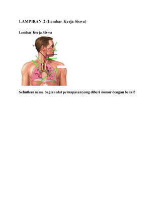 LAMPIRAN 2 (Lembar Kerja Siswa) 
Lembar Kerja Siswa 
Sebutkan nama bagian alat pernapasan yang diberi nomor dengan benar! 
 