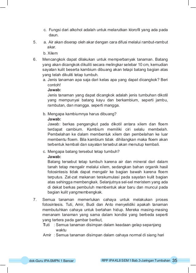 RPP IPA K-13 KELAS 8 SEMESTER-1 Bab3 Taringan Tumbuhan