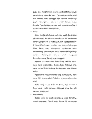 pupul akan menghentikan cahaya agar tidak terlalu banyak 
cahaya yang masuk ke mata. Dalam cahaya redup otot-otot 
mencadi relaks sehingga pupil melebar. Melebarnya 
pupil memungkinkan cahaya semakin banyak masuk 
kemata. Fungsi anak mata atau pupil sama dengan fungsi 
diafragma pada alat potret (kamera) 
3. Lensa 
Lensa terletak dibelakang anak mata (pupil) dan selapuk 
pelangi. Fungsi lensa adalah menfokuskan dan meneruskan 
cahaya yang masuk ke mata agar jatuh tepat pada retina 
(selapuk jala). Dengan demikian mata bisa melihat dengan 
jelas. Lensa mata mempunyai kemampuan untuk 
mencembung dan memipih untuk memfokuskan jatuhnya 
cahaya. Kemampuan cahaya untuk mengubah 
kecembungannya disebut daya akomodasi. 
Apabila kita mengamati benda yang letaknya dekat, 
maka mata berakomodasi dengan kuat. Akibatnya lensa 
mata menjadi lebih cembung dan bayangan tepat jatuh di 
retina. 
Apabila kita mengamti benda yang letaknya jauh, maka 
mata tidak berakomodasi. Akibatnya lensa mata berbentuk 
pipih. 
Pada orang berusia diatas 50 tahun, daya akomodasi 
lensa mata mulai menurun. Akibatnya, orang tua sulit 
melihat dengan jelas. 
4. Badan bening 
Badan bening ini terletak dibelakang lensa. Bentuknya 
seperti agar-agar. Fungsi badan bening ini meneruskan 
 