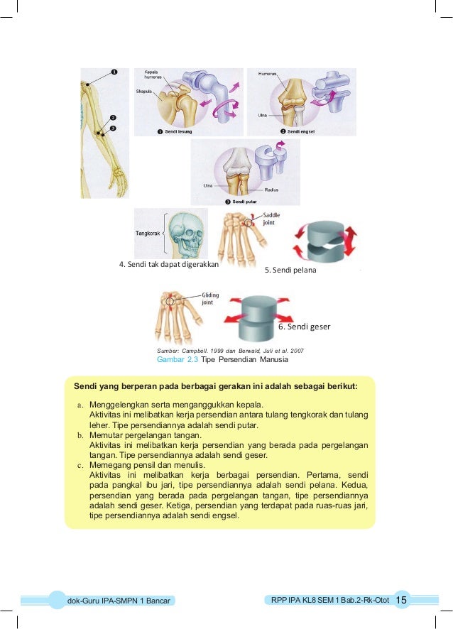 Rpp Covid Ipa Kelas 7 Semester 1 RPP KURIKULUM 2013 IPA