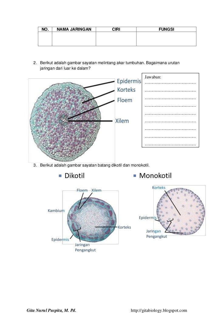 RPP IPA Science Lesson Plan 