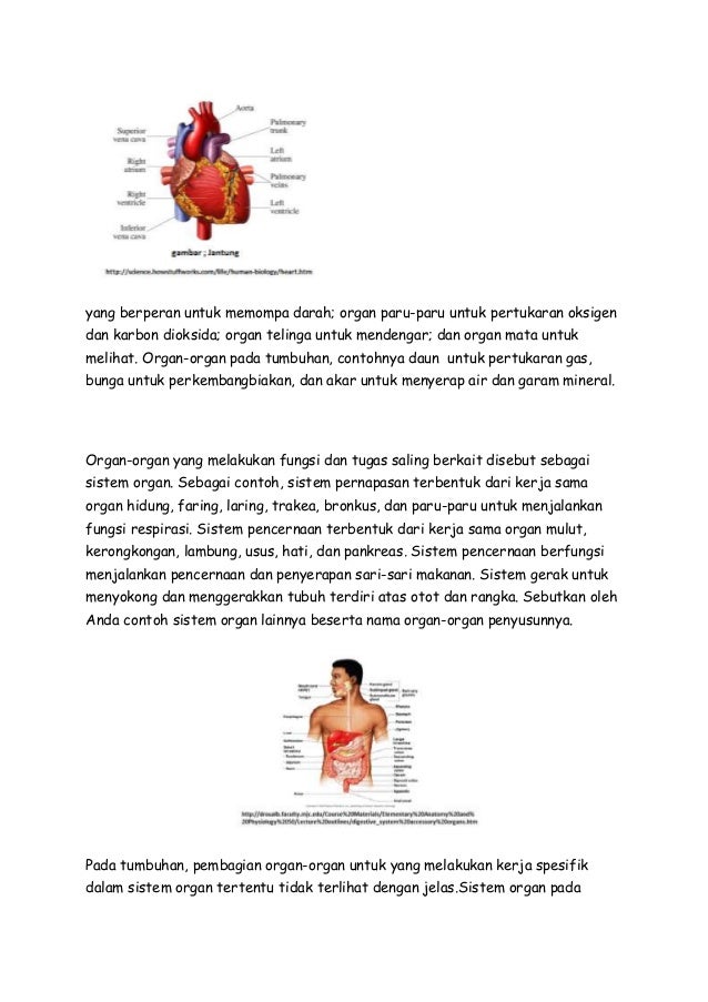 RPP BIOLOGI KLS X RUANG LINGKUP BIOLOGI
