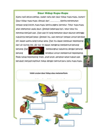 Daur Hidup Kupu-Kupu
Kamu tadi secara sekilas, sudah tahu dan daur hidup kupu-kupu, bukan?
Daur hidup kupu-kupu dimulai dari …………… Ketika menemukan
tempat yang cocok, kupu-kupu betina segera bertelur. Telur kupu-kupu
akan dilekatkan pada daun. Setelah beberapa hari, telur-telur itu
menetas menjadi ulat. Ulat-ulat ini yang memakan daun-daunan sehingga
tubuhnya menjadi besar. Setelah itu, ulat mencari tempat untuk berdiam
diri dalam waktu yang cukup lama. Ulat itu dapat membuat kepompong
dari air liurnya lho. Air liur ini dapat mengeras membentuk benang-
benang. Ulat membungkus tubuhnya dengan benang-
benang tersebut untuk membentuk kepompong.
Pada tahap kepompong inilah, anak-anak..perlahan-lahan tubuh ulat
berubah menjadi makhluk hidup dengan bentuk baru yaitu kupu-kupu.
……………………….
………………….
…………………
……………………….
……………………….
……………………….
Isilah urutan daur hidup atau metamorfosis
pada kupu-kupu ini dengan tepat ya!
 