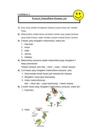 LAMPIRAN 5
1) Daur hidup adalah serangkaian tahapan proses hidup dari makhluk
hidup.
2) Metamorfosis adalah tahap perubahan bentuk yang sangat berbeda
yang dialami hewan sejak menetas sampai menjadi hewan dewasa.
3) 5 hewan yang mengalami metamorfosis, antara lain:
1. kupu-kupu
2. kecoa
3. katak
4. nyamuk
5. belalang
4) Metamorfosis sempurna adalah metamorfosis yang mengalami 4
tahap pertumbuhan.
Tahapan tersebut, yaitu telur  larva  pupa  hewan dewasa.
5) 3 ciri hewan yang mengalami metamorfosis sempurna, yaitu:
1. Saat menetas bentuk hewan jauh berbeda dari induknya.
2. Mengalami masa pupa/ kepompong.
3. Urutan metamorfosisnya:
telur → larva/ ulat → pupa/ kepompong → hewan dewasa
6) 2 contoh hewan yang mengalami metamorfosis sempurna, antara lain:
1. Kupu-kupu
2. Katak
Kunci Jawaban Kamu ya
 