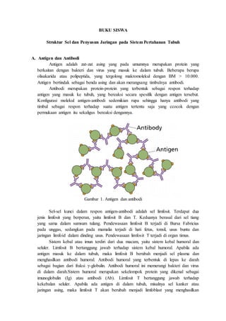 BUKU SISWA
Struktur Sel dan Penyusun Jaringan pada Sistem Pertahanan Tubuh
A. Antigen dan Antibodi
Antigen adalah zat-zat asing yang pada umumnya merupakan protein yang
berkaitan dengan bakteri dan virus yang masuk ke dalam tubuh. Beberapa berupa
olisakarida atau polipeptida, yang tergolong makromolekul dengan BM > 10.000.
Antigen bertindak sebagai benda asing dan akan merangsang timbulnya antibodi.
Antibodi merupakan protein-protein yang terbentuk sebagai respon terhadap
antigen yang masuk ke tubuh, yang bereaksi secara spesifik dengan antigen tersebut.
Konfigurasi molekul antigen-antibodi sedemikian rupa sehingga hanya antibodi yang
timbul sebagai respon terhadap suatu antigen tertentu saja yang ccocok dengan
permukaan antigen itu sekaligus bereaksi dengannya.
Gambar 1. Antigen dan antibodi
Sel-sel kunci dalam respon antigen-antibodi adalah sel limfosit. Terdapat dua
jenis limfosit yang berperan, yaitu limfosit B dan T. Keduanya berasal dari sel tiang
yang sama dalam sumsum tulang. Pendewasaan limfosit B terjadi di Bursa Fabricius
pada unggas, sedangkan pada mamalia terjadi di hati fetus, tonsil, usus buntu dan
jaringan limfoid dalam dinding usus. Pendewasaan limfosit T terjadi di organ timus.
Sistem kebal atau imun terdiri dari dua macam, yaitu sistem kebal humoral dan
seluler. Limfosit B bertanggung jawab terhadap sistem kebal humoral. Apabila ada
antigen masuk ke dalam tubuh, maka limfosit B berubah menjadi sel plasma dan
menghasilkan antibodi humoral. Antibodi humoral yang terbentuk di lepas ke darah
sebagai bagian dari fraksi γ-globulin. Antibodi humoral ini memerangi bakteri dan virus
di dalam darah.Sistem humoral merupakan sekelompok protein yang dikenal sebagai
imunoglobulin (Ig) atau antibodi (Ab). Limfosit T bertanggung jawab terhadap
kekebalan seluler. Apabila ada antigen di dalam tubuh, misalnya sel kanker atau
jaringan asing, maka limfosit T akan berubah menjadi limfoblast yang menghasilkan
 