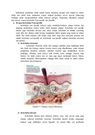 Mekanisme pertahanan tubuh terjadi karena masuknya patogen atau antigen ke dalam
tubuh dan tubuh akan melakukan respon meliputi produksi sel-sel atau zat kimia yang
berfungsi untuk mempertahankan tubuh melawan patogen. Responnya dibedakan menjadi
dua macam, respon kekebalan Non-spesifik dan Spesifik.
a. Respon Kekebalan Non-spesifik
Kekebalan non spesifik bekerja tanpa membeda-bedakan antigen tertentu dan
langsung memberikan respon ketika tubuh terpapar antigen. Kekebalan non spesifik
disebut juga kekebalan bawaan atau alami, artinya kekebalan ini dimiliki seseorang
sejak lahir dan sifatnya selalu bersiap menghadapi infeksi apapun yang masuk ke dalam
tubuh. Jika tubuh terpapar oleh benda asing maka yang akan merespon pertama kali
adalah kekebalan non-spesifik ini. Kekebalan non-spesifik meliputi kekebalan eksternal
dan internal.
1) Kekebalan eksternal
Kekebalan eksternal terdiri dari jaringan epitelium yang melindungi tubuh
kita (kulit dan kelenjar mukus) beserta sekresi yang dihasilkannya, selain sebagai
penghalang masuknya penyakit, epitelium tersebut juga menghasilkan zat-zat
pelindung. Misalnya hasil sekresi kulit bersifat asam sehingga beracun bagi
bakteri. Air ludah (saliva) dan air mata juga dapat membunuh bakteri. Mukus
(lendir) menjebak mikroorganisme sehingga tidak dapat masuk ke dalam saluran
pencernaan dan pernapasan.
Gambar 6. Tahapan respon inflamatory
2) Kekebalan internal
Kekebalan internal akan melawan bakteri, virus, atau zat-zat asing yang
mampu melewati kekebalan eksternal. Kekebalan internal berupa rangsangan
kimiawi yang melibatkan sel-sel fagositik, sel natural killer (sel pembunuh
 