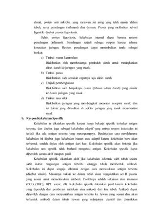 alami), protein anti mikroba yang melawan zat asing yang telah masuk dalam
tubuh, serta peradangan (inflamasi) dan demam. Proses yang melibatkan sel-sel
fagositik disebut proses fagositosis.
Selain proses fagositosis, kekebalan internal dapat berupa respon
peradangan (inflamasi). Peradangan terjadi sebagai respon karena adanya
kerusakan jaringan. Respon peradangan dapat menimbulkan tanda sebagai
berikut:
a) Timbul warna kemerahan
Diakibatkan oleh membesarnya pembuluh darah untuk meningkatkan
aliran darah ke jaringan yang rusak.
b) Timbul panas
Diakibatkan oleh semakin cepatnya laju aliran darah.
c) Terjadi pembengkakan
Diakibatkan oleh banyaknya cairan (dibawa aliran darah) yang masuk
ke dalam jaringan yang rusak
d) Timbul rasa sakit
Diakibatkan jaringan yang membengkak menekan reseptor saraf, dan
zat kimia yang dihasilkan di sekitar jaringan yang rusak menstimulasi
saraf.
b. Respon Kekebalan Spesifik
Kekebalan ini dikatakan spesifik karena hanya bekerja spesifik terhadap antigen
tertentu, dan disebut juga sebagai kekebalan adaptif yang artinya respon kekebalan ini
terjadi jika ada antigen tertentu yang merangsangnya. Berdasarkan cara perolehannya
kekebalan ini disebut juga kekebalan buatan atau adaptif karena kekebalan baru akan
terbentuk setelah dipicu oleh antigen dari luar. Kekebalan spesifik akan bekerja jika
kekebalan non spesifik tidak berhasil mengatasi antigen. Kekebalan spesifik dapat
diperoleh secara aktif maupun pasif.
Kekebalan spesifik dikatakan aktif jika kekebalan dibentuk oleh tubuh secara
aktif akibat rangsangan antigen tertentu sehingga tubuh membentuk antibodi.
Kekebalan ini dapat sengaja dibentuk dengan cara memasukkan antigen tertentu
(disebut vaksin). Masuknya vaksin ke dalam tubuh akan mengaktifkan sel B plasma
yang sesuai untuk mensekresikan antibodi. Contohnya adalah vaksinasi atau imunisasi
(BCG (TBC), DPT, cacar, dll). Kekebalan spesifik dikatakan pasif karena kekebalan
yang diperoleh dari pemberian antitoksin atau antibodi dari luar tubuh. Antibodi dapat
diperoleh dengan cara menyuntikkan antigen tertentu ke hewan yang sesuai dan akan
terbentuk antibodi dalam tubuh hewan yang selanjutnya diambil dan disuntikkan
 