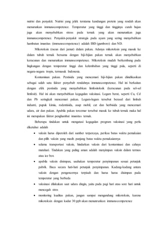 nutrisi dan penyakit. Nutrisi yang jelek terutama kandungan protein yang rendah akan
menurunkan immunocompetence. Temperatur yang tinggi dan tingginya curah hujan
juga akan menyebabkan stress pada ternak yang akan menurunkan juga
immunocompetence. Penyakit-penyakit strategis pada ayam yang sering menyebabkan
hambatan imunitas (immunocompetence) adalah IBD (gumboro) dan ND.
Mikotoksin (racun dari jamur) dalam pakan. Adanya mikotoksin yang masuk ke
dalam tubuh ternak bersama dengan biji-bijian pakan ternak akan menyebabkan
keracunan dan menurunkan immunocompetence. Mikotoksin mudah berkembang pada
lingkungan dengan temperatur tinggi dan kelembaban yang tinggi pula, seperti di
negara-negara tropis, termasuk Indonesia.
Kontaminan pakan. Pestisida yang mencemari biji-bijian pakan diindikasikan
sebagai salah satu faktor penyebab rendahnya immunocompetence. Hal ini berkaitan
dengan efek pestisida yang menyebabkan limfositoksik (keracunan pada sel-sel
limfosit). Hal ini akan menyebabkan kegagalan vaksinasi. Logam berat, seperti Cu, Cd
dan Pb seringkali mencemari pakan. Logam-logam tersebut berasal dari limbah
industri, pupuk kimia, rodentisida, asap mobil, cat dan herbisida yang mencemari
udara, air dan pakan. Apabila pakan tercemar tersebut masuk ke tubuh ternak maka hal
ini merupakan faktor penghambat imunitas ternak.
Beberapa tindakan untuk mengatasi kegagalan program vaksinasi yang perlu
diketahui adalah
 vaksin harus diperoleh dari sumber terpercaya, periksa batas waktu pemakaian
dan pilih vaksin yang masih panjang batas waktu pemakaiannya
 selama transportasi vaksin, hindarkan vaksin dari kontaminasi dan cahaya
matahari. Tindakan yang paling aman adalah menyimpan vaksin dalam termos
atau ice box
 apabila vaksin disimpan, usahakan temperatur penyimpanan sesuai petunjuk
pabrik. Baca secara hati-hati petunjuk penyimpanan. Kadang-kadang antara
vaksin dengan pengencernya terpisah dan harus harus disimpan pada
temperatur yang berbeda
 vaksinasi dilakukan saat udara dingin, yaitu pada pagi hari atau sore hari untuk
mencegah stres
 monitoring kualitas pakan, jangan sampai mengandung mikotoksin, karena
mikotoksin dengan kadar 30 ppb akan menunrunkan immunocompetence
 