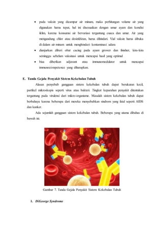  pada vaksin yang dicampur air minum, maka perhitungan volume air yang
digunakan harus tepat, hal ini disesuaikan dengan umur ayam dan kondisi
iklim, karena konsumsi air bervariasi tergantung cuaca dan umur. Air yang
mengandung chlor atau desinfektan, harus dihindari. Vial vaksin harus dibuka
di dalam air minum untuk menghindari kontaminasi udara
 dianjurkan diberi obat cacing pada ayam grower dan finisher, kira-kira
seminggu sebelum vaksinasi untuk mencapai hasil yang optimal
 bisa diberikan adjuvant atau immunomodulator untuk mencapai
immunocompetence yang diharapkan.
E. Tanda Gejala Penyakit Sistem Kekebalan Tubuh
Alasan penyebab gangguan sistem kekebalan tubuh dapat berukuran kecil,
partikel mikroskopis seperti virus atau bakteri. Tingkat keparahan penyakit ditentukan
tergantung pada virulensi dari mikro-organisme. Masalah sistem kekebalan tubuh dapat
berbahaya karena beberapa dari mereka menyebabkan sindrom yang fatal seperti AIDS
dan kanker.
Ada sejumlah gangguan sistem kekebalan tubuh. Beberapa yang utama dibahas di
bawah ini.
Gambar 7. Tanda Gejala Penyakit Sistem Kekebalan Tubuh
1. DiGeorge Syndrome
 