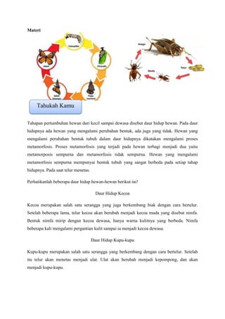 Rpp sains metamorfosis | PDF