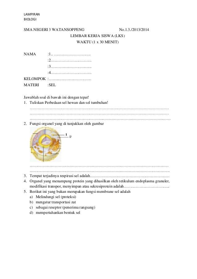 Beautifull Soal  Biologi  Tentang  Sel Kelas  11  Dan  