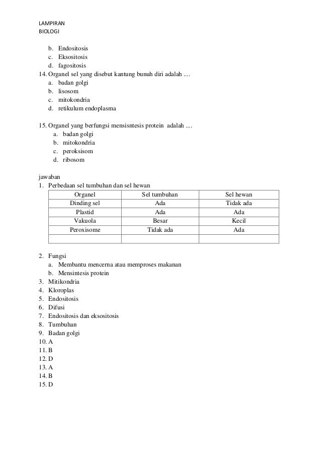 Rpp sel.1 kelas xi mia kurikulum 2013