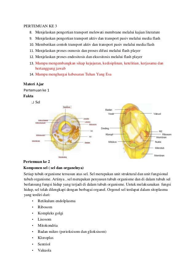 Rpp sel.1 kelas xi kurikulum 2013