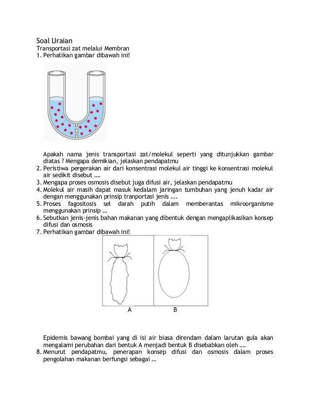 Soal Transpor Membran Belajar