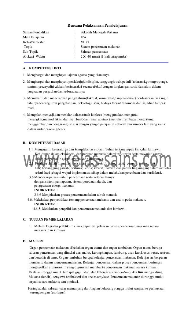 Rpp Viii Saluran Pencernaan