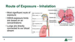 Route of Exposure - Inhalation
• Most significant route of
exposure
• OSHA exposure limits
are based on air
concentrations
• Lungs are directly
connected to our blood
stream
8
 