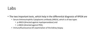 Labs
• The two important tests, which help in the differential diagnosis of RPGN are
• Serum Antineutrophilic Cytoplasmic antibody (ANCA), which is of two types
• p-ANCA (directed against myeloperoxidase) and
• c-ANCA (directed against PR3);
• Immunofluorescence (IF) examination of the kidney biopsy.
 