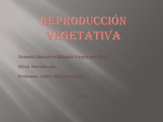 Sistema Educativo Bilingüe Virgen del Pilar

Nivel. Noveno año

Profesora. Zuley Araya Sequeira



                             2012
 