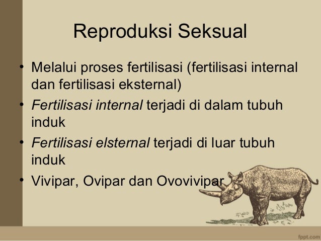 Reproduksi pada hewan 