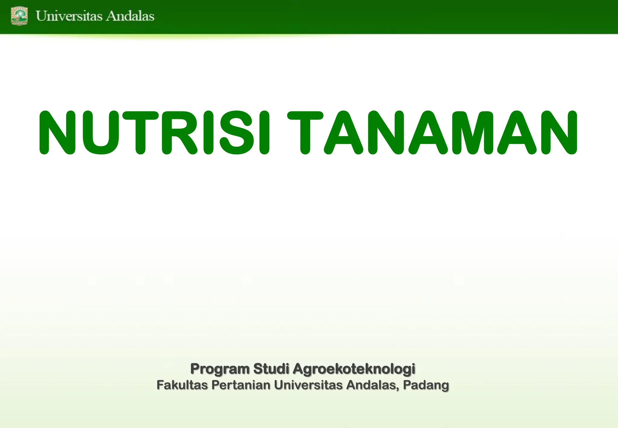 Rps Nutrisi Tanaman Rps Nutrisi Tanaman Rps Nutrisi Tanaman Pdf
