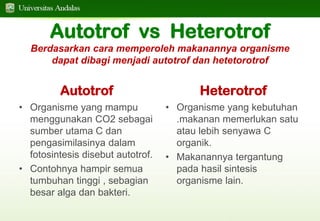 RPS Nutrisi Tanaman RPS Nutrisi Tanaman RPS Nutrisi Tanaman | PDF