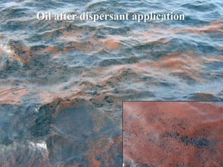 Oil after dispersant application